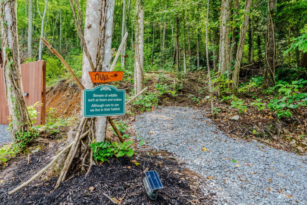 Wooded walking path on the cabin grounds in Elizabethton, Tennessee