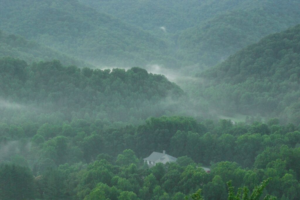 Forested ridges from Raven Rock in Roan Mountain State Park