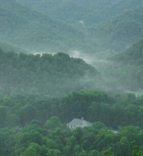 Forested ridges from Raven Rock in Roan Mountain State Park