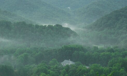 Forested ridges from Raven Rock in Roan Mountain State Park